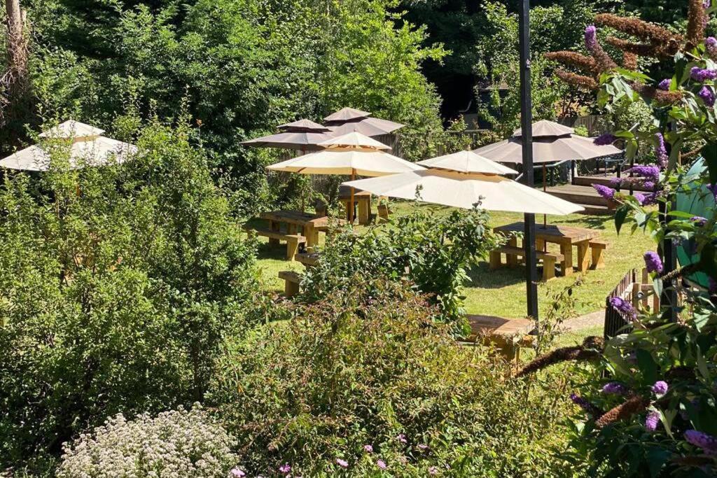 דירות Martin Mill 17Th Century Boutique Getaway In The Countryside מראה חיצוני תמונה